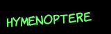 Anti-spam image